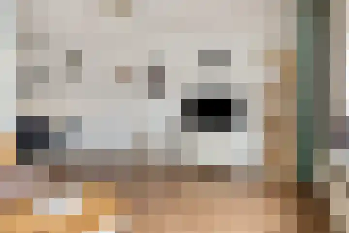 Bert Haanstrastrook 127 Zoetermeer thumbnail 12