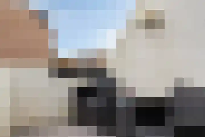 Bert Haanstrastrook 127 Zoetermeer thumbnail 13
