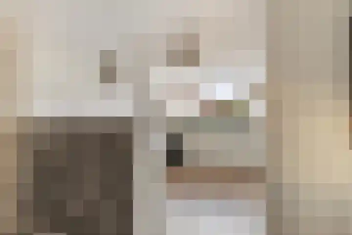 Bert Haanstrastrook 127 Zoetermeer thumbnail 14