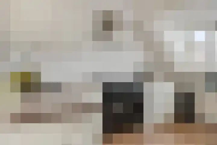 Bert Haanstrastrook 127 Zoetermeer thumbnail 15