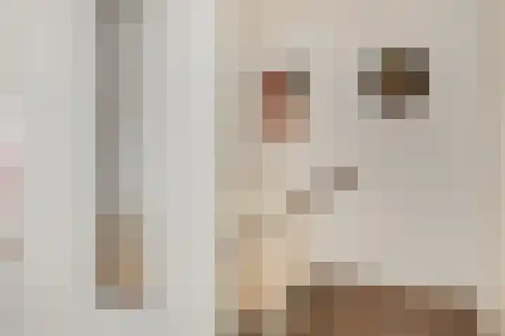 Bert Haanstrastrook 127 Zoetermeer thumbnail 18