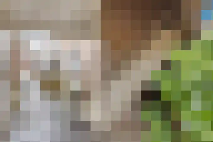 Bert Haanstrastrook 127 Zoetermeer thumbnail 6