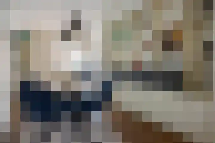 Bert Haanstrastrook 127 Zoetermeer thumbnail 9