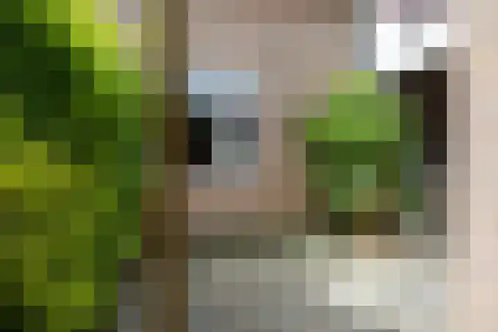 Bert Haanstrastrook 73 Zoetermeer thumbnail 16