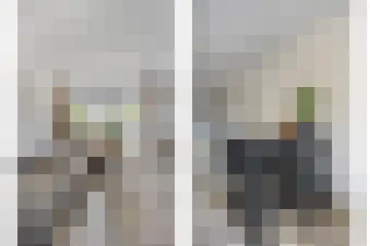 Bert Haanstrastrook 73 Zoetermeer thumbnail 7