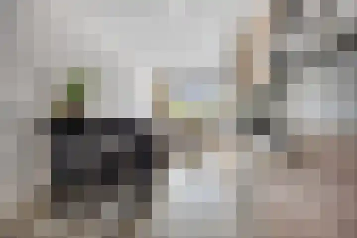 Bert Haanstrastrook 73 Zoetermeer thumbnail 9