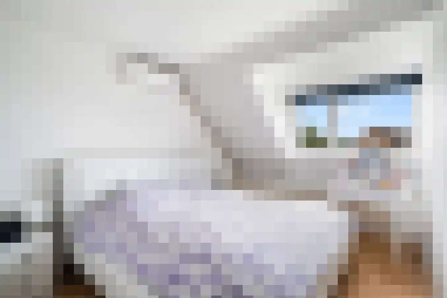 Bert Haanstrastrook 85 Zoetermeer thumbnail 22