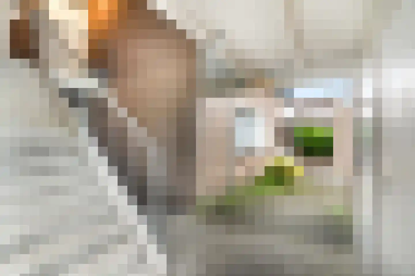 Bert Haanstrastrook 85 Zoetermeer thumbnail 30