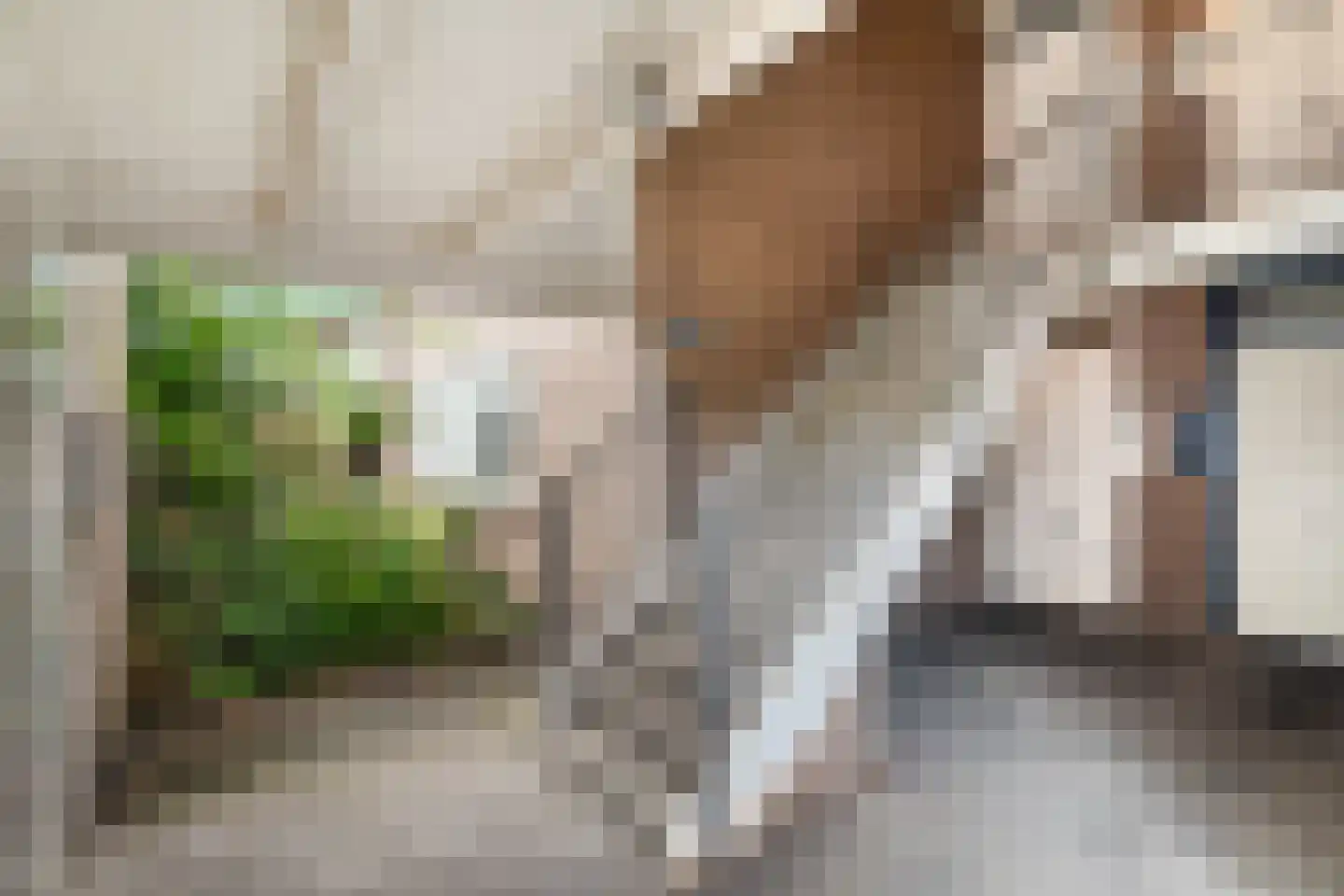 Bert Haanstrastrook 85 Zoetermeer thumbnail 6