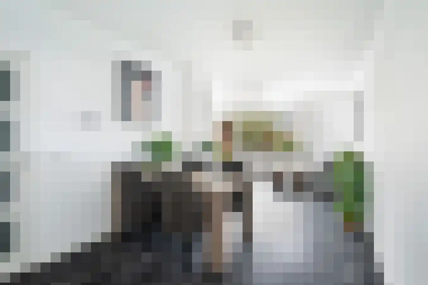 Bert Haanstrastrook 85 Zoetermeer thumbnail 9