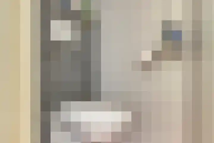Bertelindislaan 23 Waalre thumbnail 21