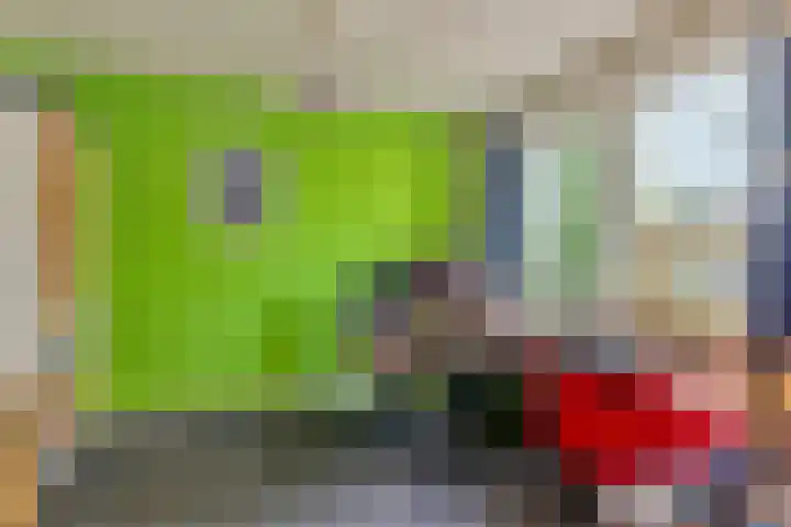 Bertelindislaan 23 Waalre thumbnail 24