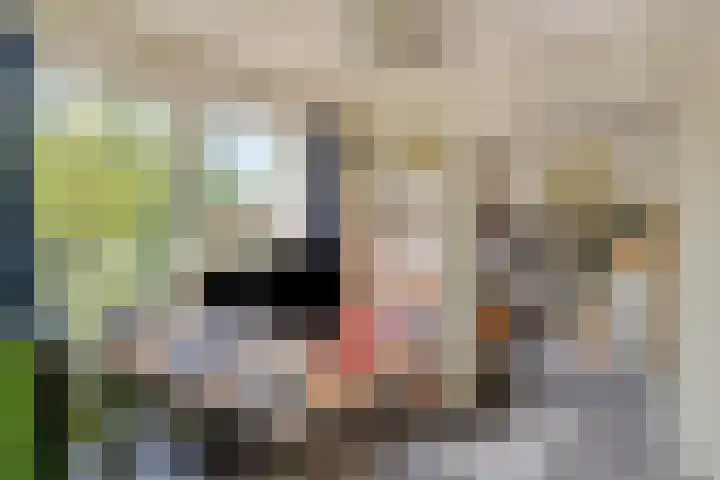 Bertelindislaan 23 Waalre thumbnail 25
