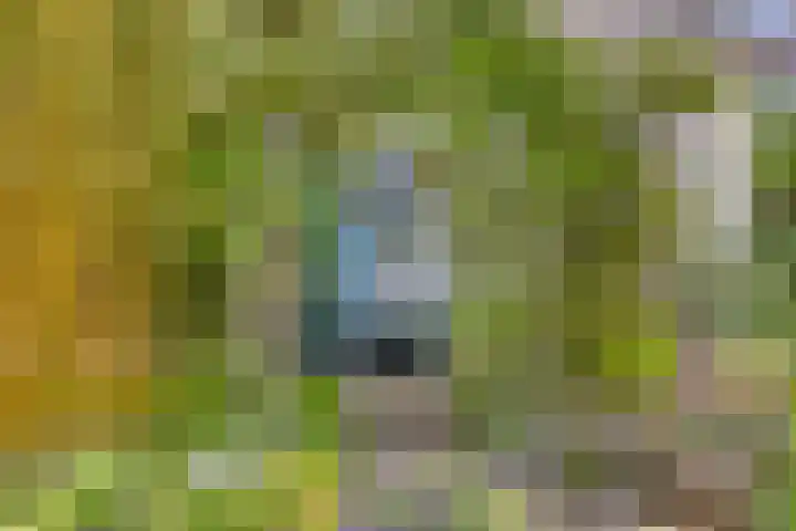 Bertelindislaan 23 Waalre thumbnail 35