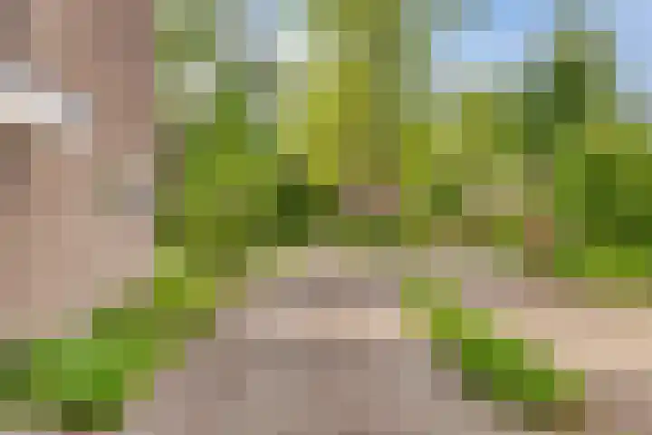Bertelindislaan 23 Waalre thumbnail 38