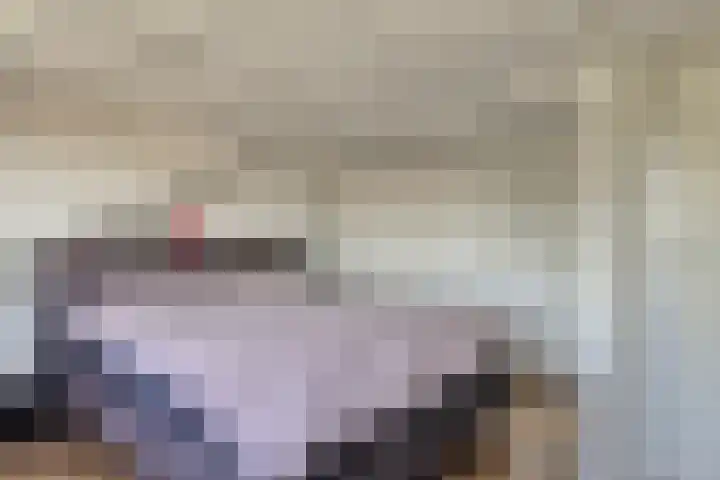 Bertelindislaan 23 Waalre thumbnail 5