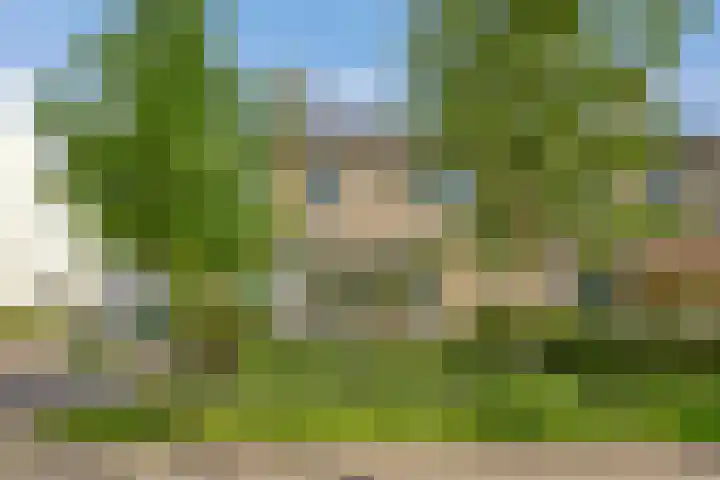 Bertelindislaan 23 Waalre thumbnail 6