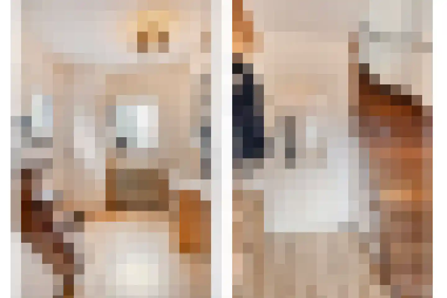 Bertelindislaan 5 Waalre thumbnail 13
