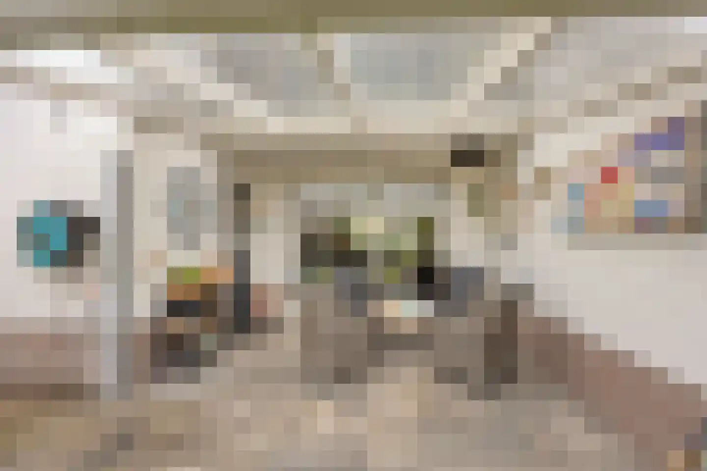 Bertelindislaan 5 Waalre thumbnail 29