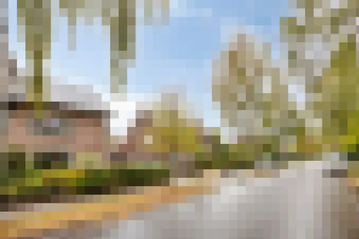 Bertelindislaan 5 Waalre thumbnail 33