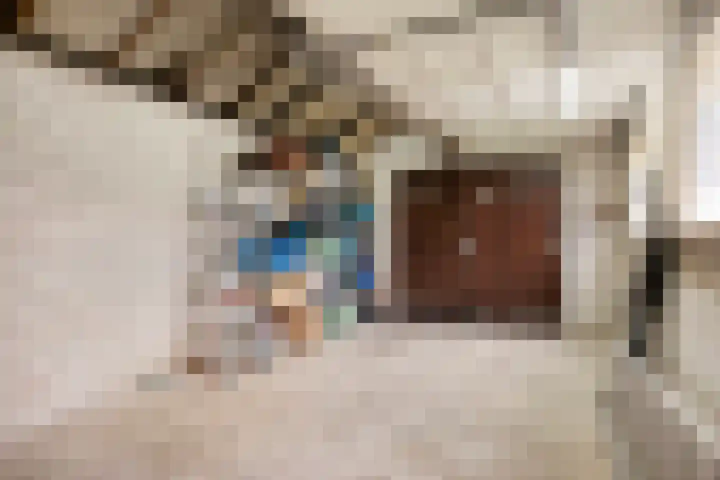 Bertelindislaan 5 Waalre thumbnail 38