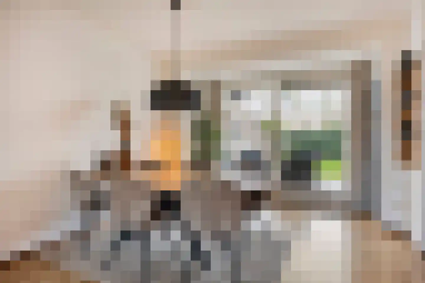 Bertelindislaan 5 Waalre thumbnail 6