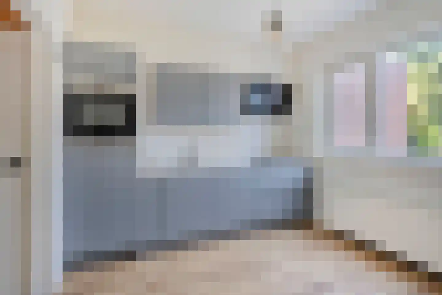 Bertelindislaan 9 Waalre thumbnail 17