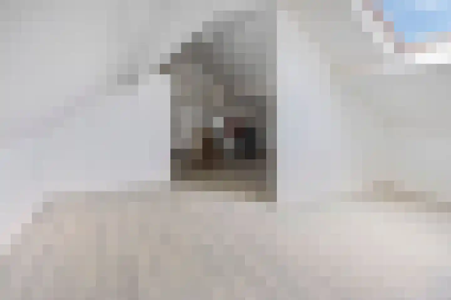 Bertelindislaan 9 Waalre thumbnail 36