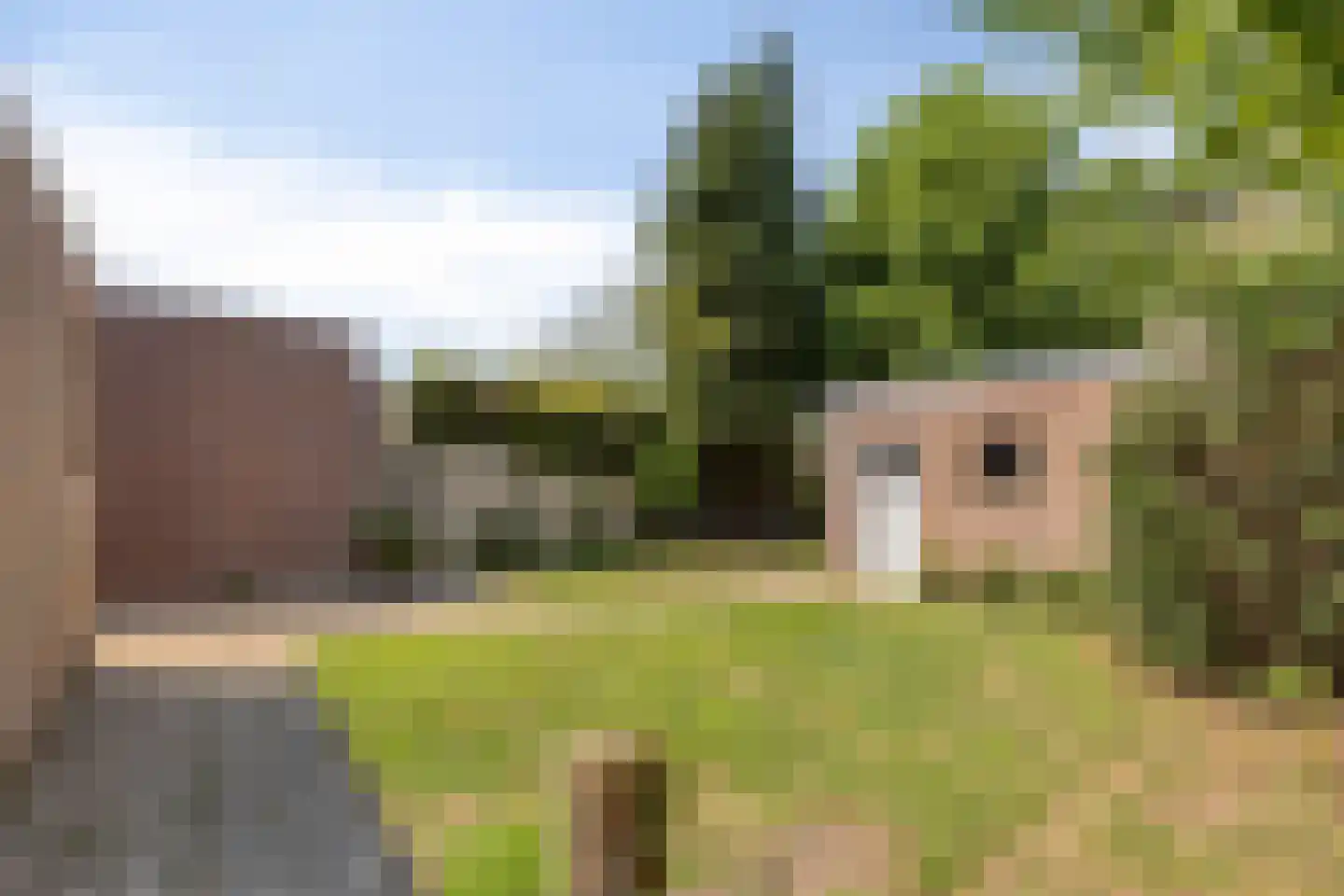 Bertelindislaan 9 Waalre thumbnail 39