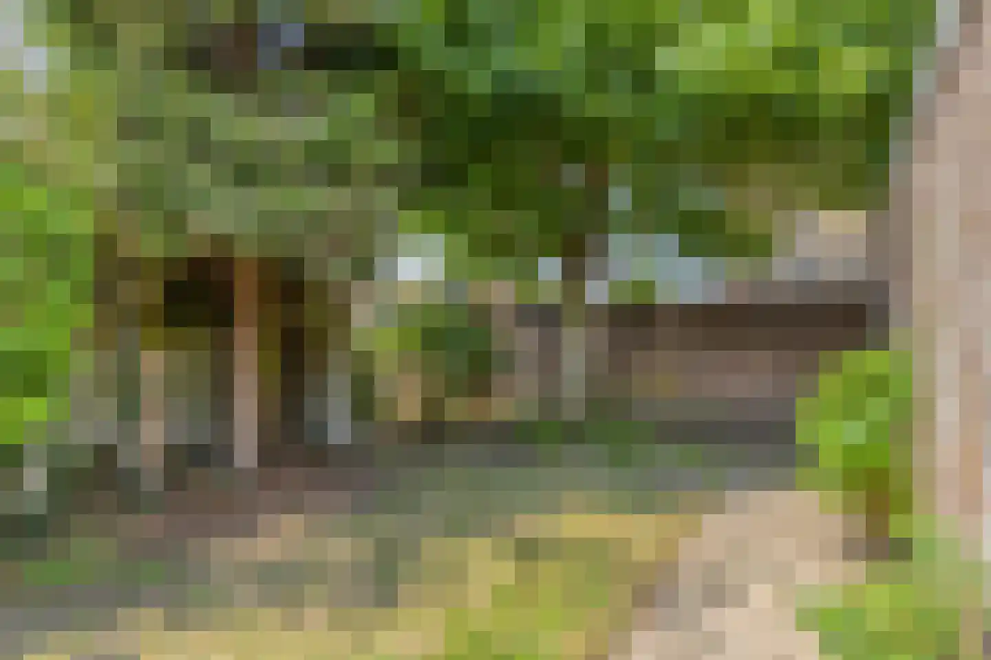 Bertelindislaan 9 Waalre thumbnail 41