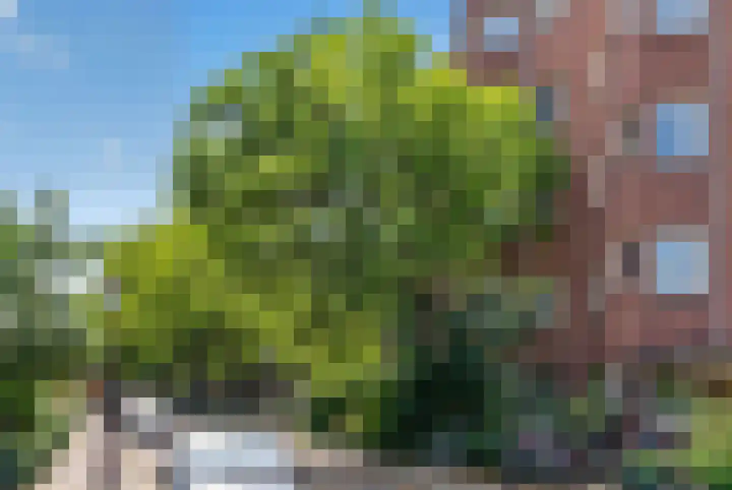 Bertelmanstraat 18 1 Amsterdam thumbnail 27