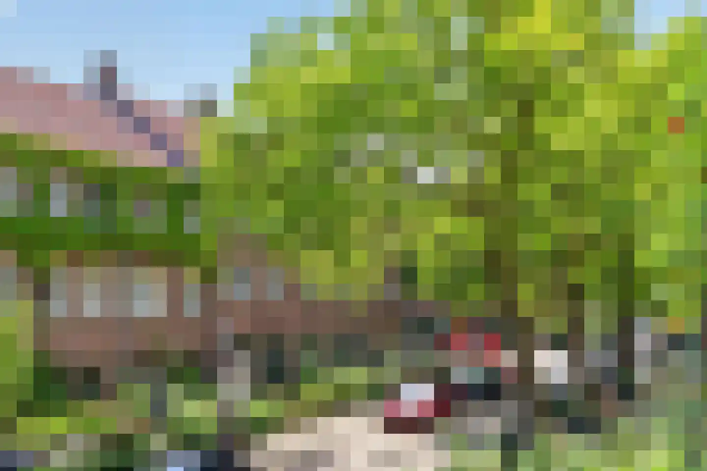 Bertelmanstraat 18 1 Amsterdam thumbnail 28