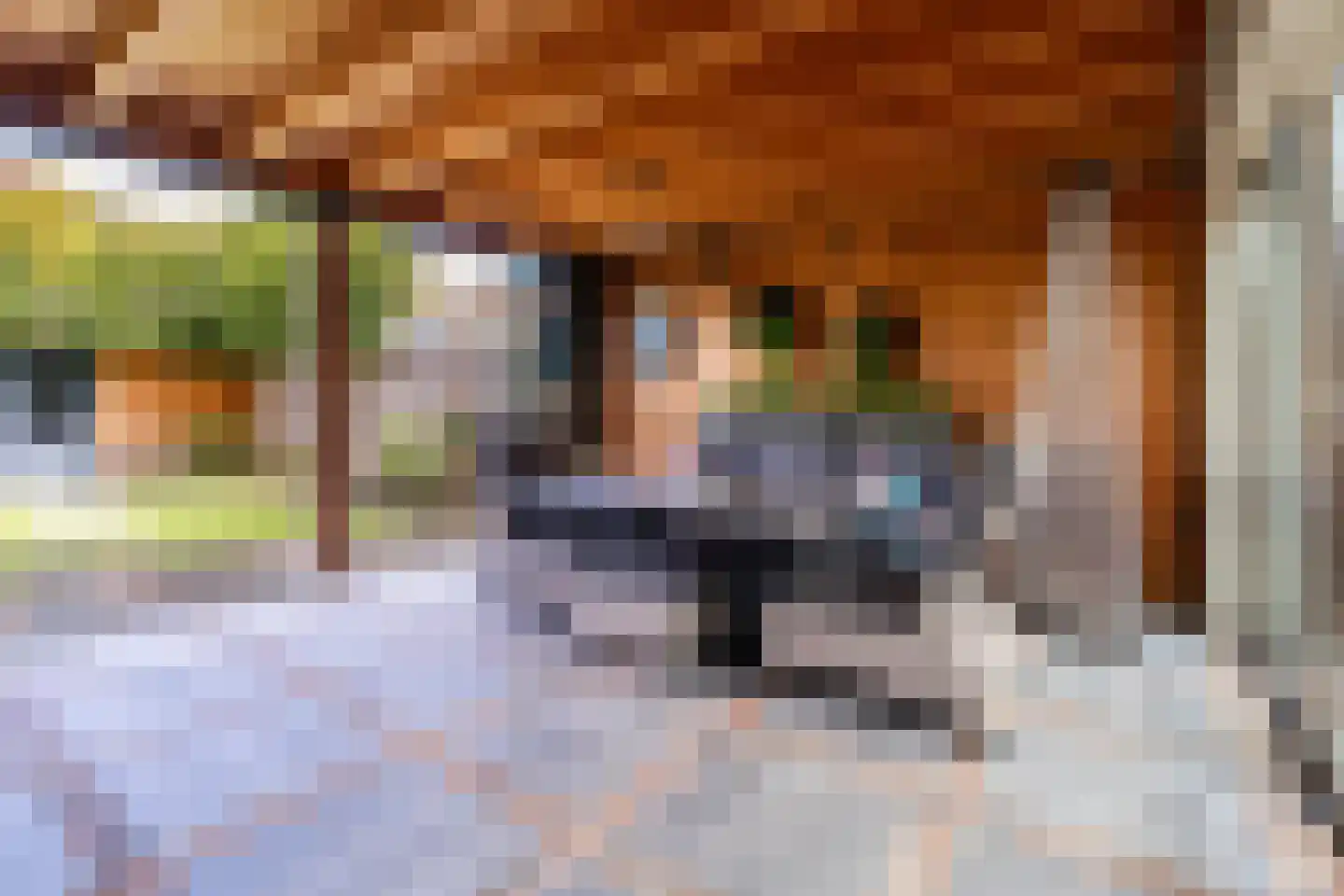 Bertelsberg 21 Breda thumbnail 14