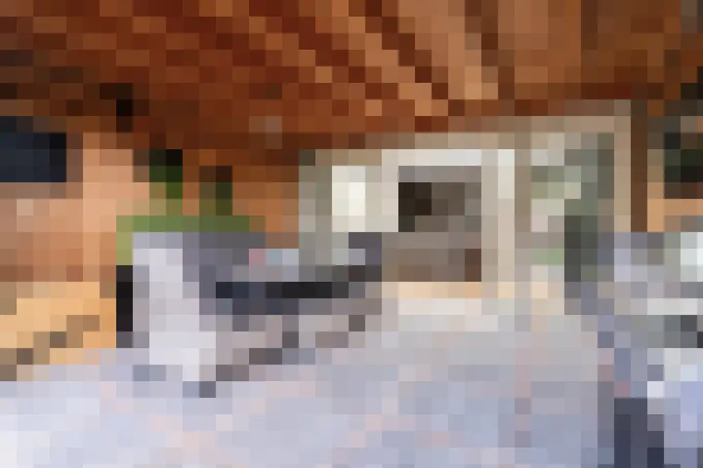 Bertelsberg 21 Breda thumbnail 15