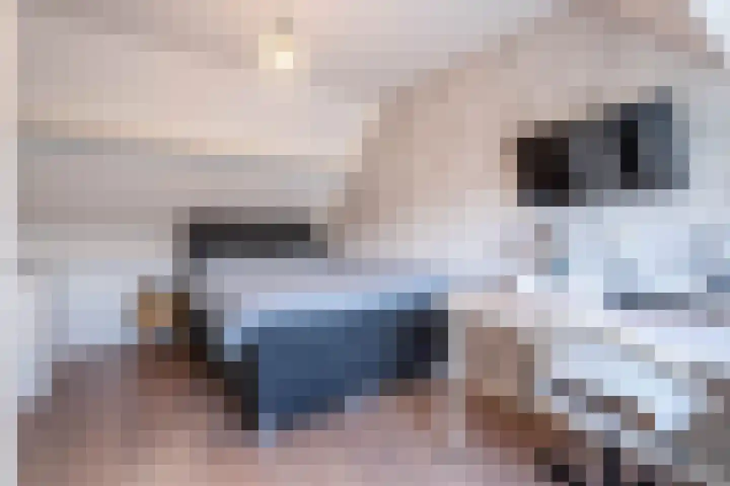 Bertelsberg 21 Breda thumbnail 27
