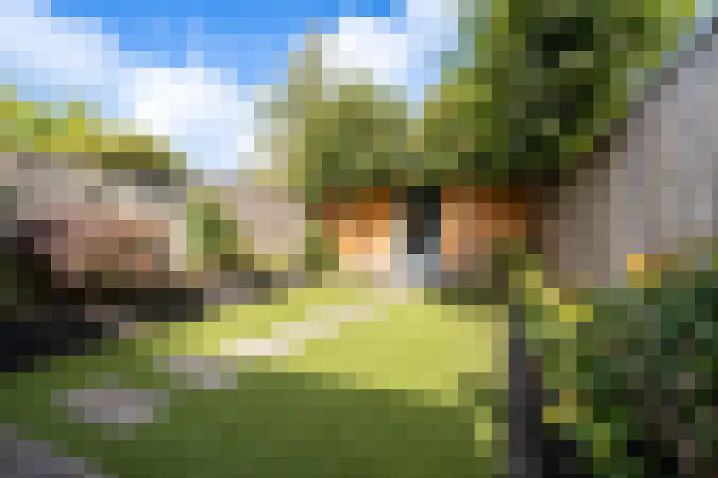Bertelsberg 21 Breda thumbnail 29