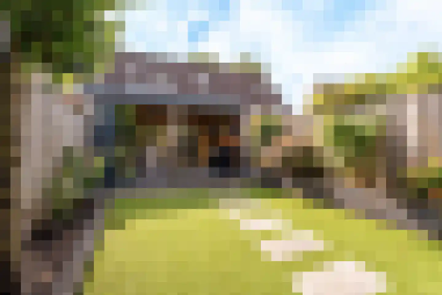 Bertelsberg 21 Breda thumbnail 30
