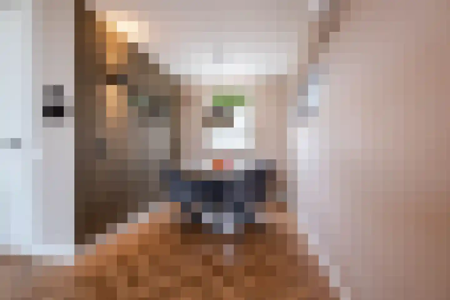 Bertelsberg 21 Breda thumbnail 5