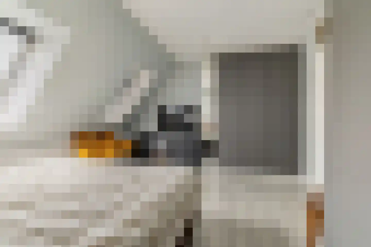 Bertelsberg 25 Breda thumbnail 18