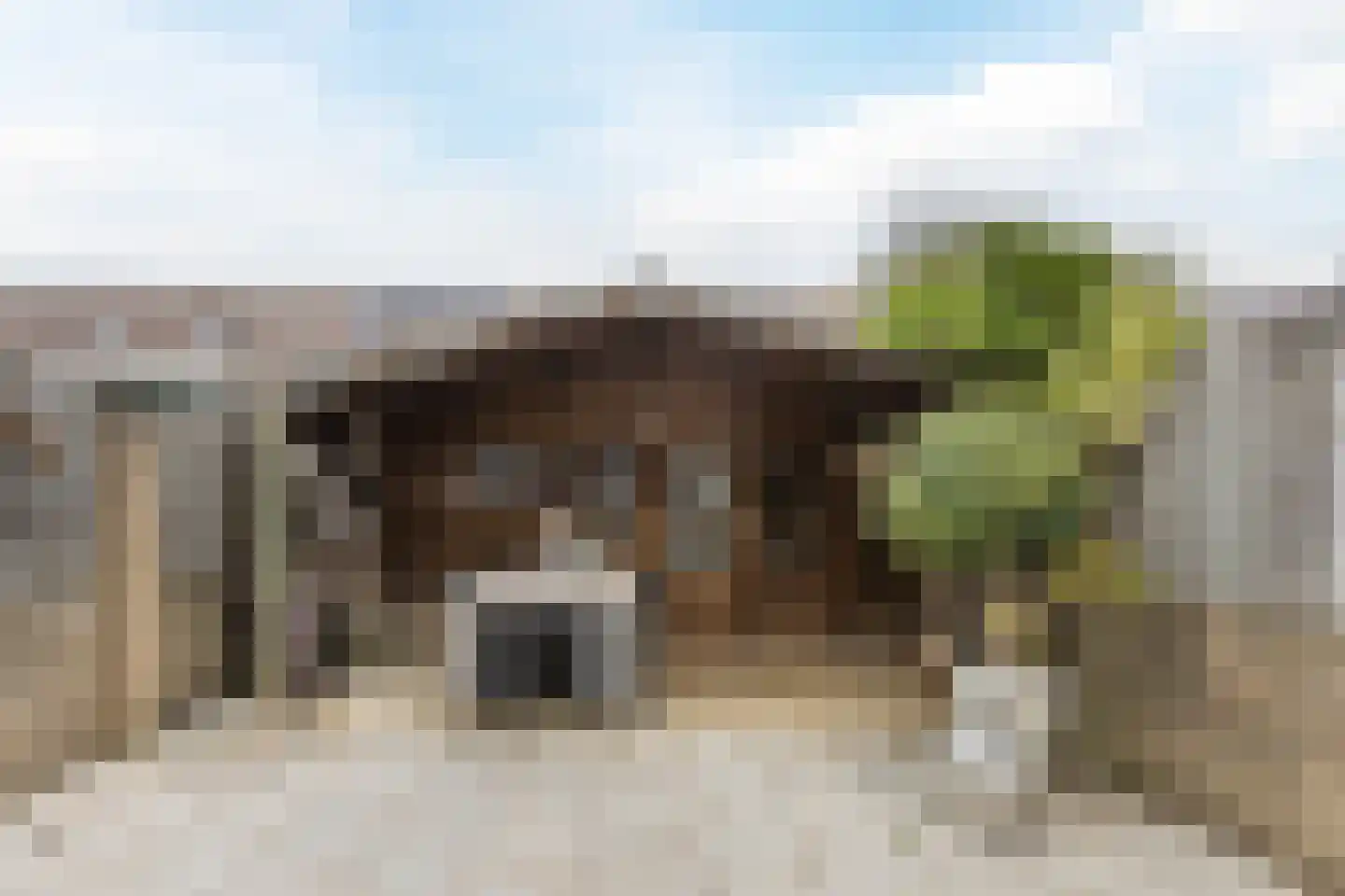 Bertelsberg 33 Breda thumbnail 29