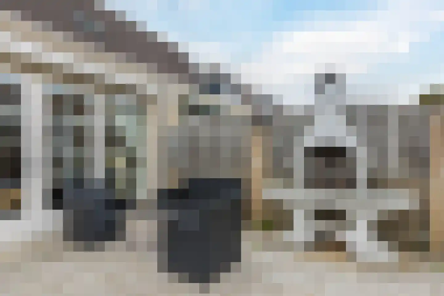Bertelsberg 33 Breda thumbnail 31