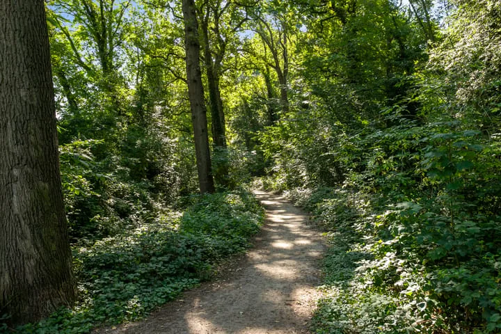 Bertelsberg 91 Breda thumbnail 44