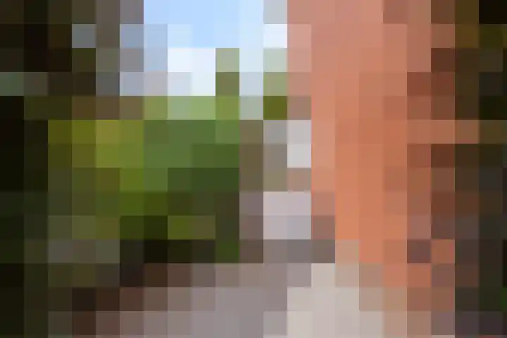 Bertestraat 22 Weert thumbnail 56