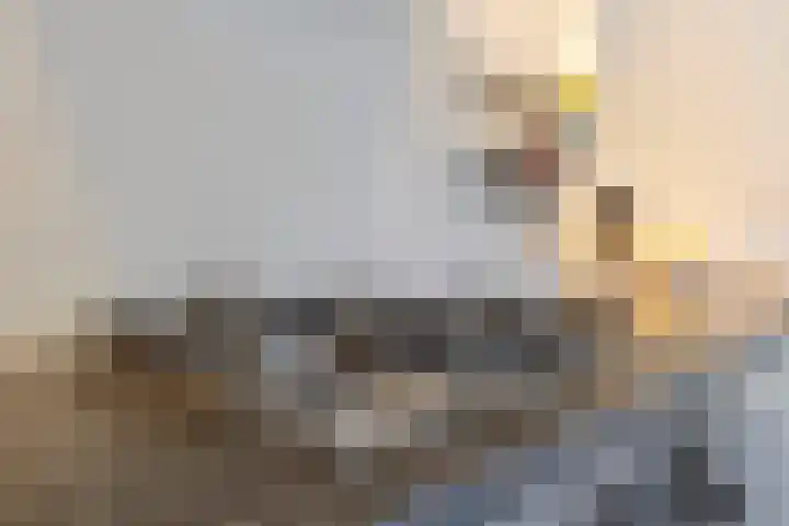 Bertha Soreestraat 18 Venlo thumbnail 20