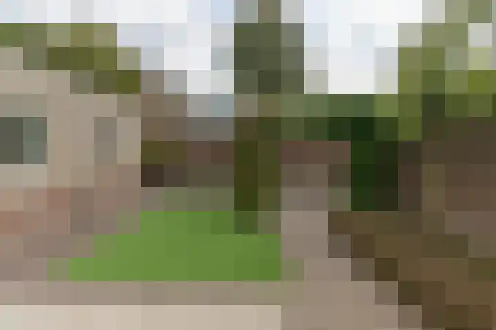 Bertha Soreestraat 6 Venlo thumbnail 14