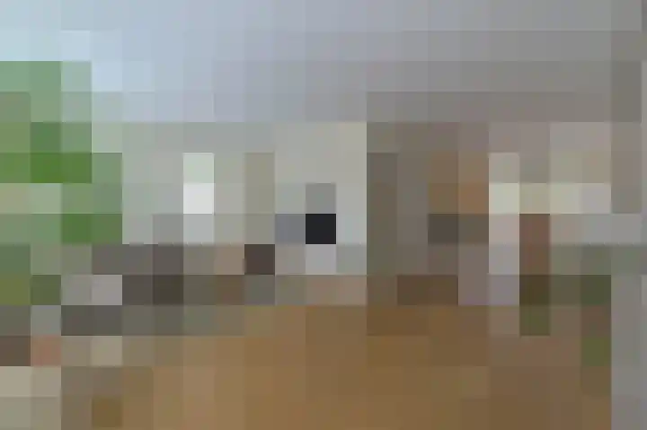 Bertha Soreestraat 6 Venlo thumbnail 8