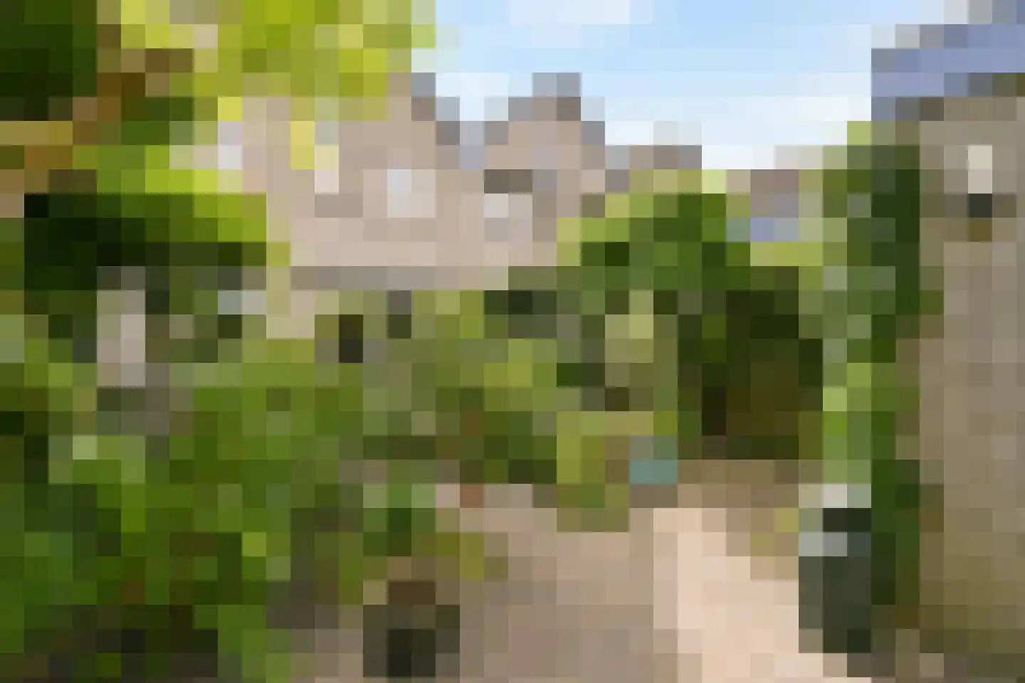 Bertha von Suttnerlaan 12 Amstelveen thumbnail 13