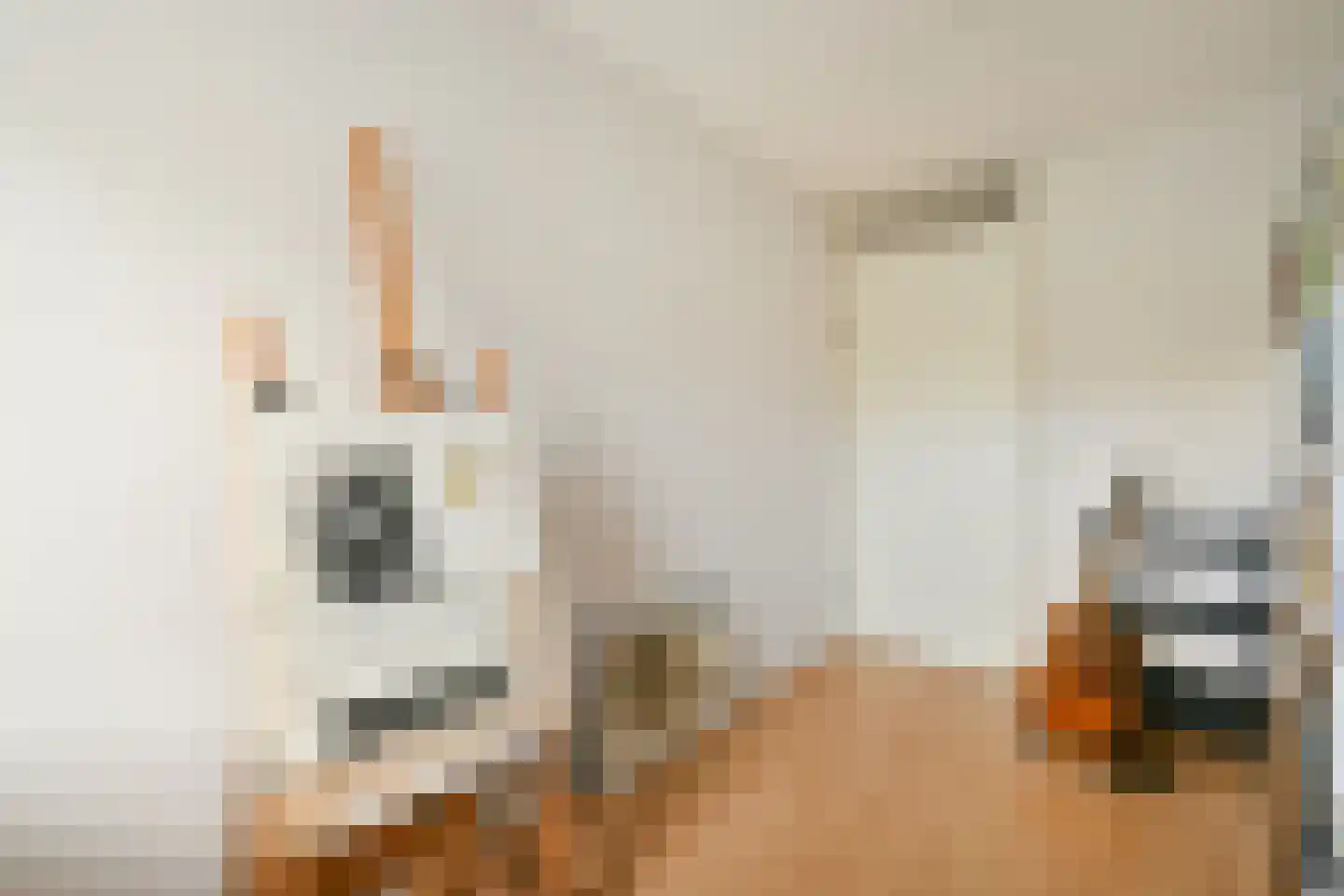 Bertha von Suttnerlaan 12 Amstelveen thumbnail 23