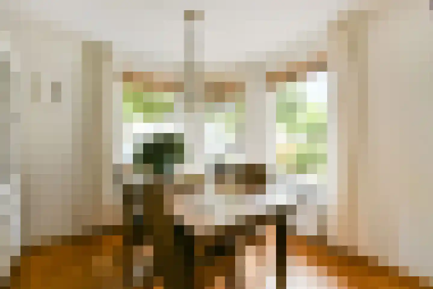 Bertha von Suttnerlaan 12 Amstelveen thumbnail 4