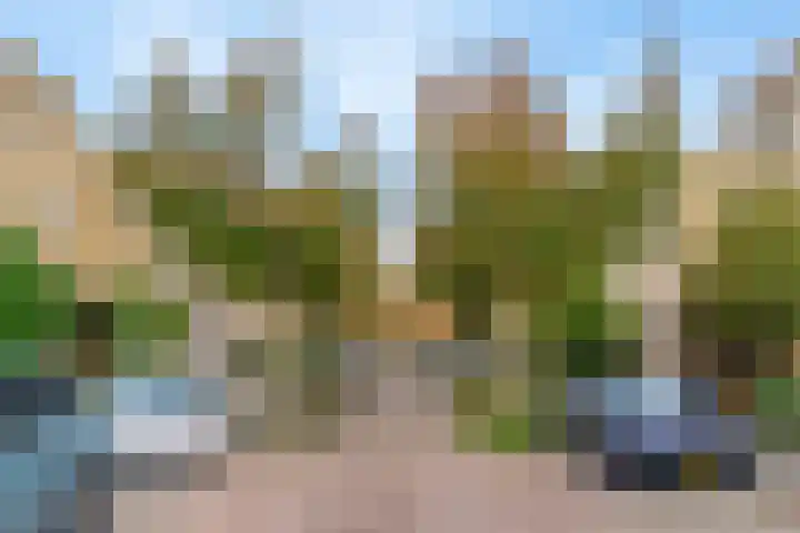 Bertha von Suttnerlaan 18 Utrecht thumbnail 28
